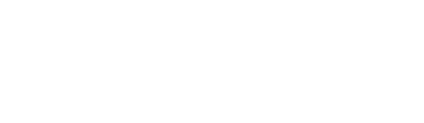 The Race Logo